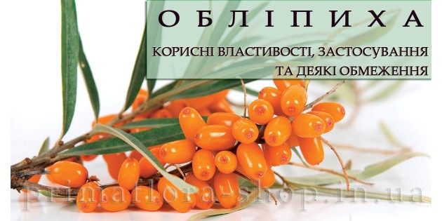 Обліпиха | Корисні властивості та застосування